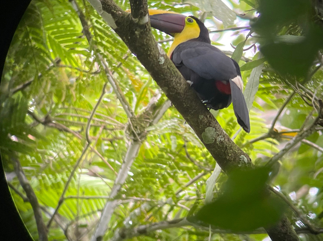Ecogarden Arenal Family Project-福德圣卡洛斯必去景点