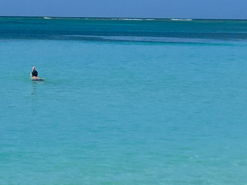 Anse du Souffleur-Port-Louis必去景点