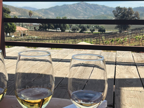 Bodegas Domecq-恩塞纳达必去景点