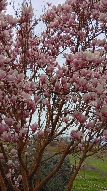 Agriturismo Podere Santa Croce-官方