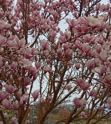 Agriturismo Podere Santa Croce主图