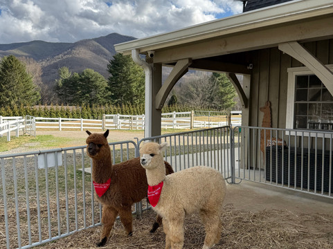 Winchester Creek Farm-韦恩斯维尔必去景点