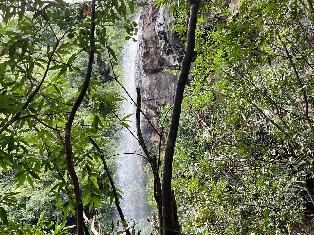 Tamarin Falls-Vacoas-Phoenix必去景点