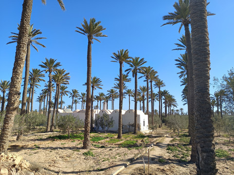 Ennakhil de tourisme Djerba-米栋必去景点