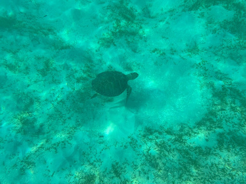Boat Serenity-Baie Nettle必去景点