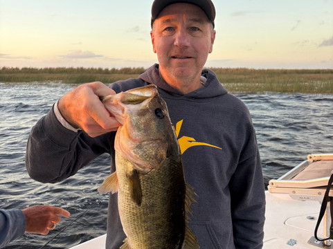 Roland Martin Marina & Resort主图