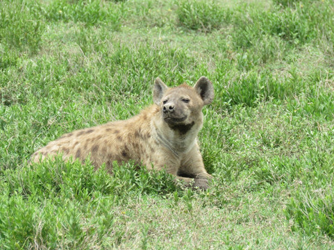 Earthlife Expeditions-阿鲁沙必去景点