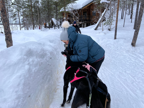 Hetta Huskies-Enontekiö必去景点