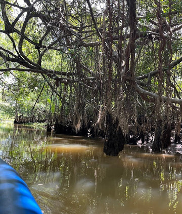 The Little Amazon-达瓜巴必去景点
