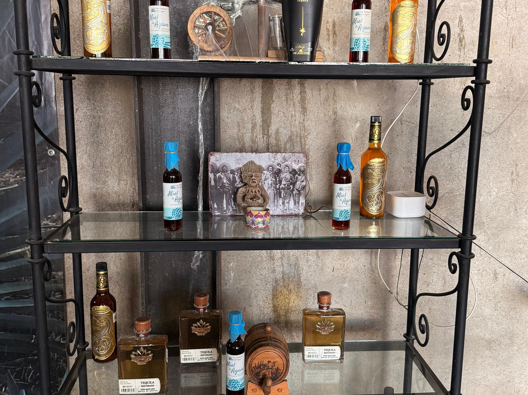 Los 2 Amigos Tequila Museum & Tasting Gallery-La Cruz de Huanacaxtle必去景点