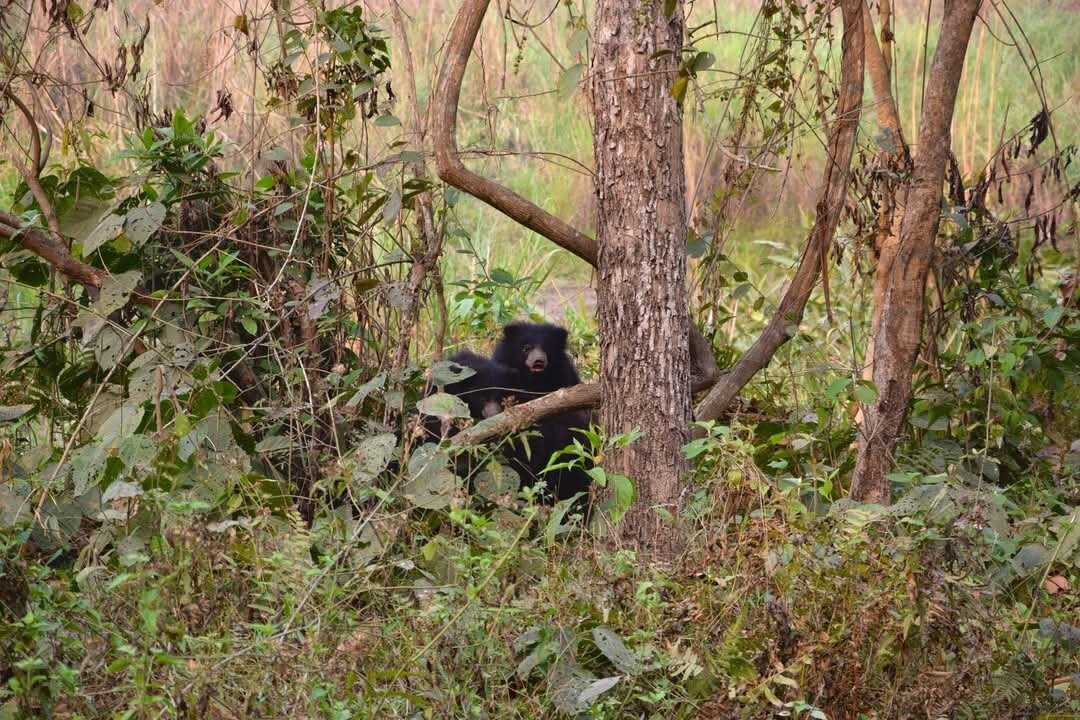 Jungle Expert Treks and Tours-Ratnanagar必去景点