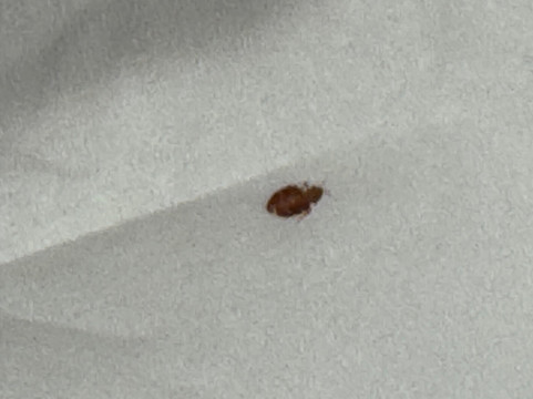 圣路易斯奥法隆万豪TownePlace套房酒店主图