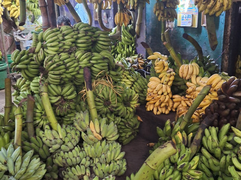 Vanakkam Madurai-马杜赖必去景点