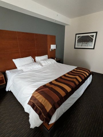 卡尔加里机场蔚景温德姆酒店-官方