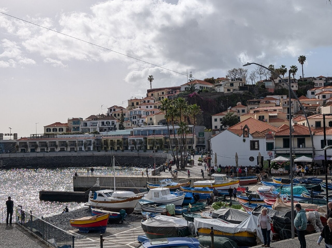 Baia de Camara de Lobos-Camara De Lobos必去景点