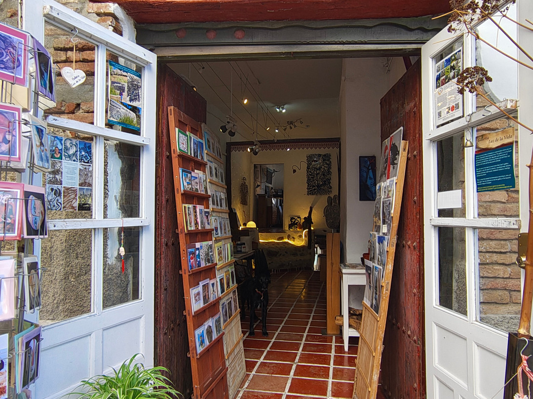 Galeria Luz de la Vida-Competa必去景点