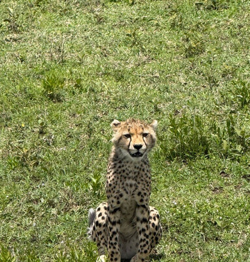 Unlimited Expeditions - The Soul Of Tanzania-阿鲁沙必去景点