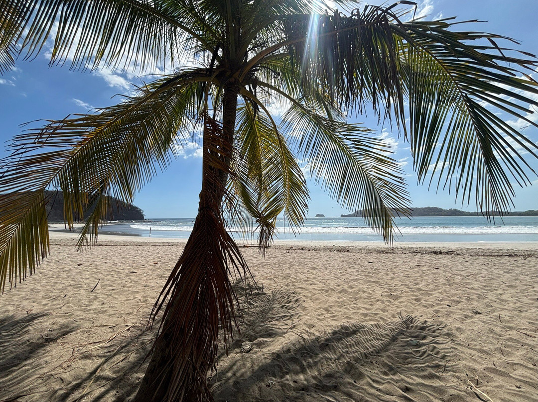 谢伊斯海滩酒店主图
