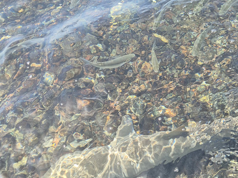 Explore Cape Verde-圣塔玛丽亚必去景点