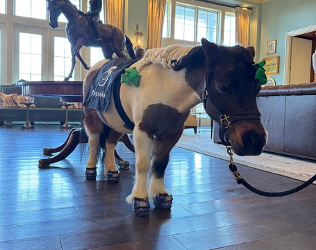 蝾螈温泉度假村主图