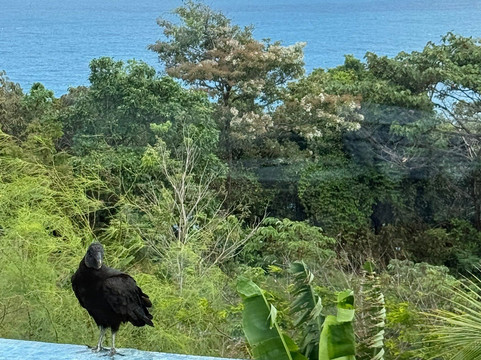 天空和蜂蜜主图