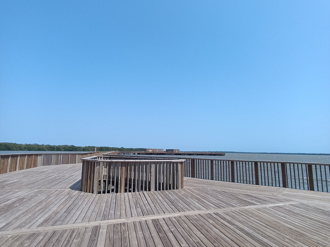 Ecoparque Ciénaga De Mallorquín-Barranquilla必去景点