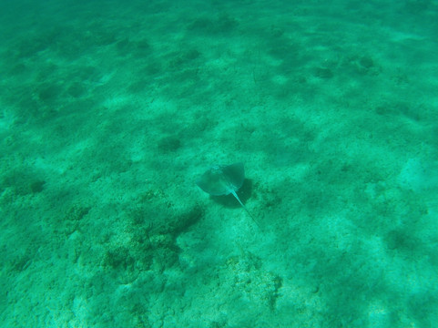 Columbus Isle Excursions-San Salvador必去景点