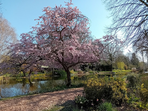 Chippenham Park-Chippenham必去景点