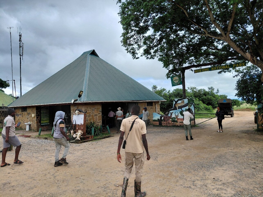 Camp Lilac Mikumi Safaris Ltd
