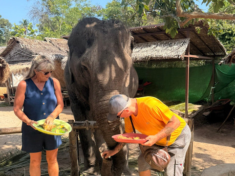 I Love Elephant Samui-Na Mueang必去景点