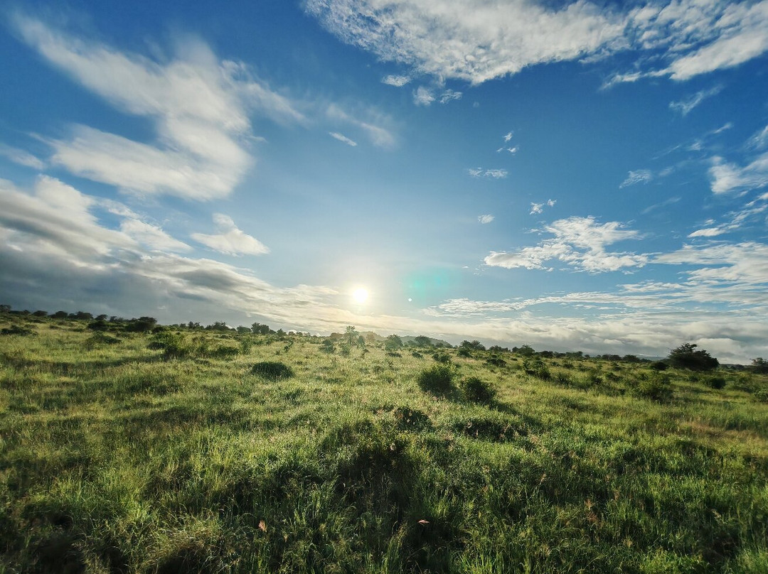 Safari Kenya Plus - Private Day Tour-马林地必去景点