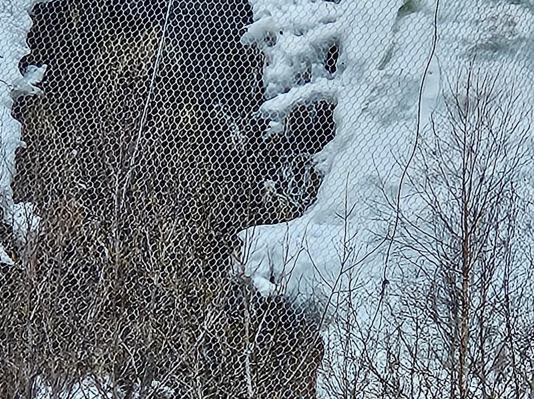 特罗姆瑟峡湾-特罗姆瑟必去景点