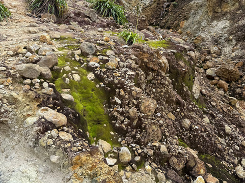 Boiling Lake-Morne Trois Pitons National Park必去景点