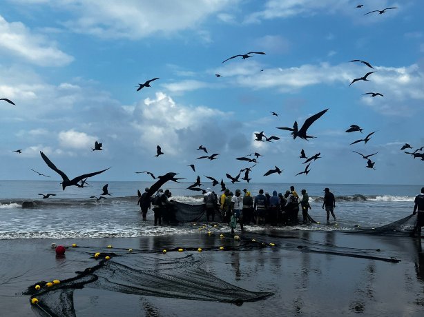 Palmazul Hotel & Spa-官方