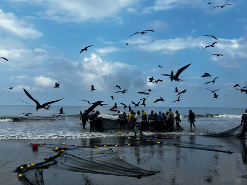 Palmazul Hotel & Spa主图