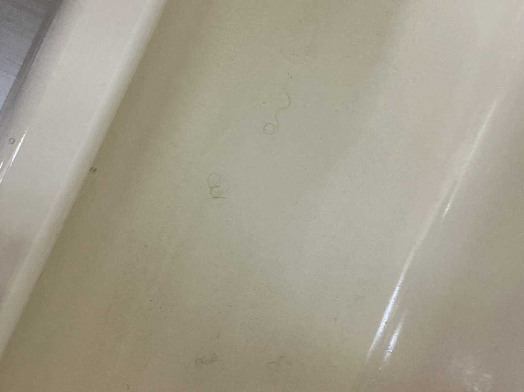 圣路易斯奥法伦舒适套房酒店主图