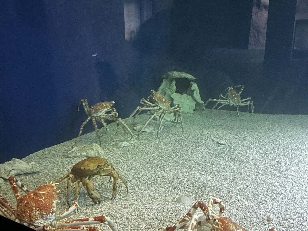 Aquarium de Lyon-La Mulatiere必去景点