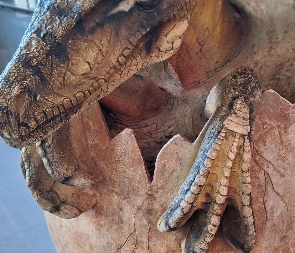 Science at Life-纽卡斯尔必去景点