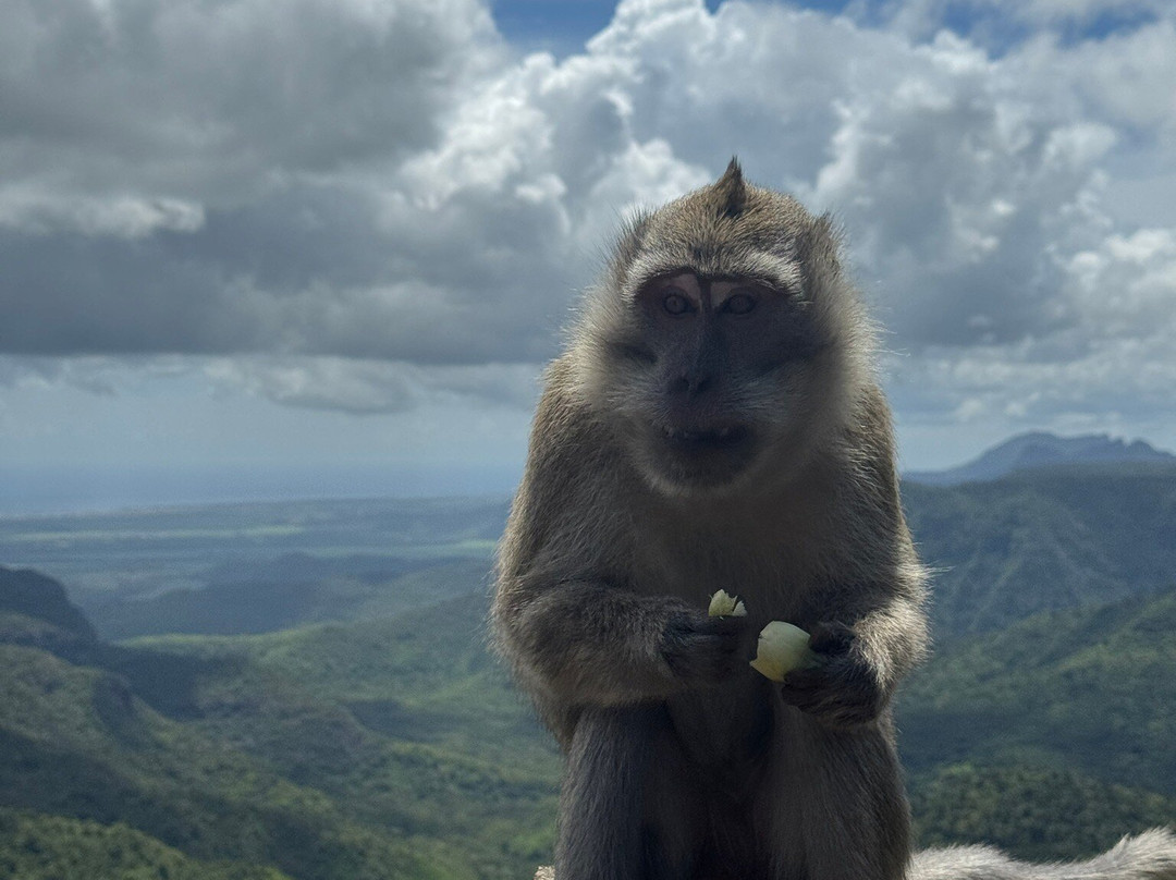 Vishal Taxi Ile Maurice-开普马欧呵必去景点