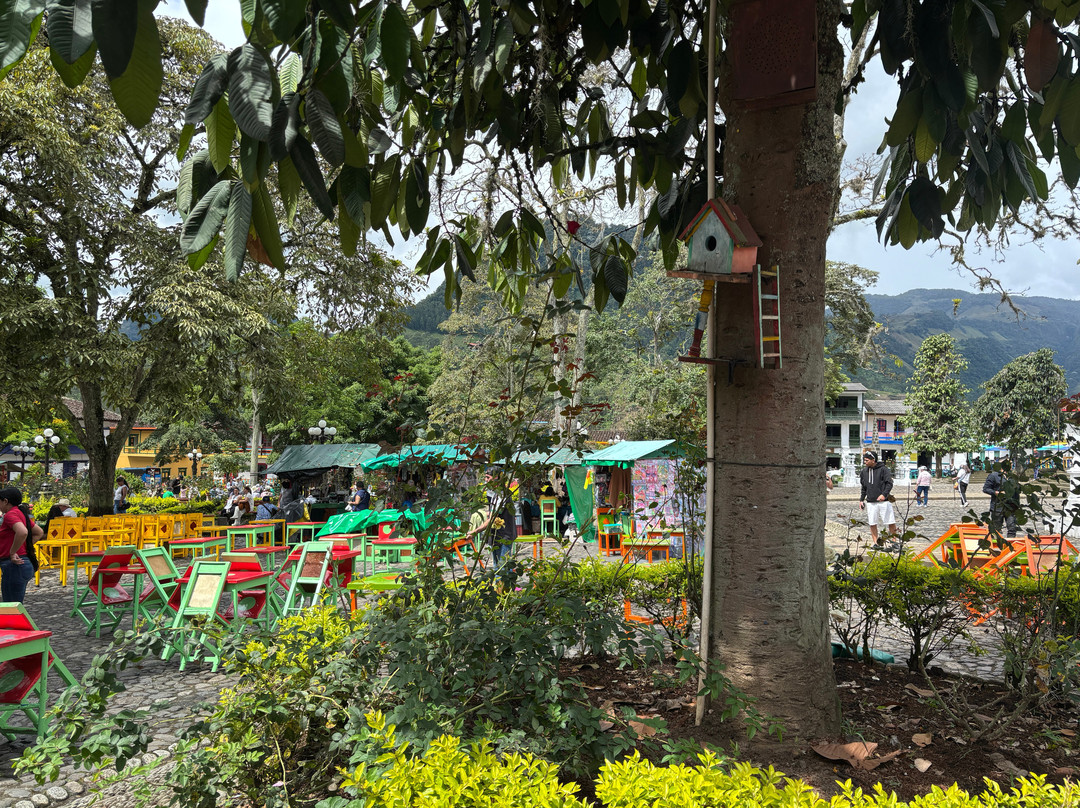 Centro Historico de Jardin-Jardin必去景点