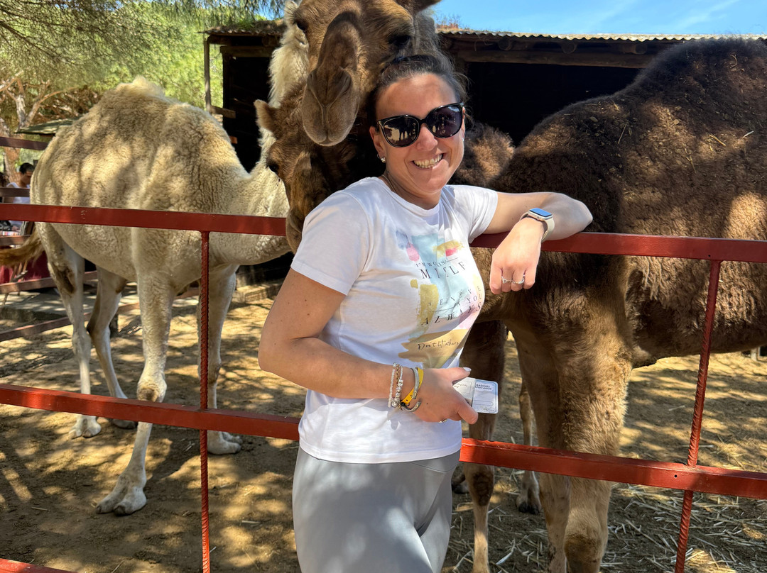 Aires Africanos-Matalascanas必去景点