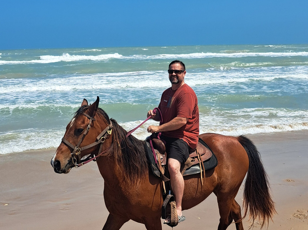 South Padre Island Adventure Park-南帕诸岛必去景点
