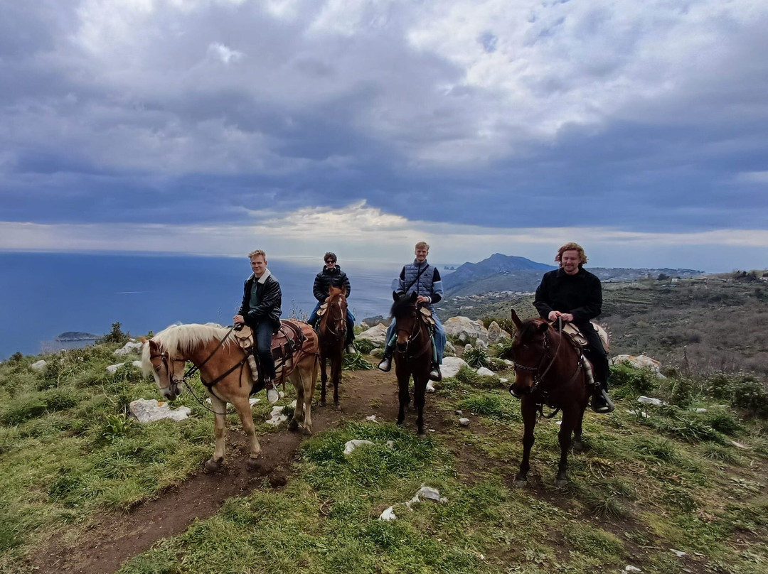 Horse Horizons (Orizzonti a cavallo)