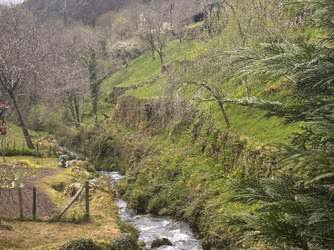 Ayuntamiento de Taramundi-Taramundi必去景点