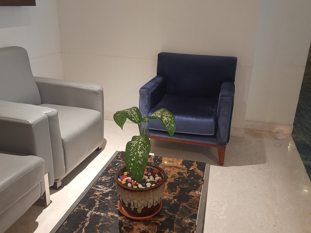 Fortune 穆拉利公园, 维加亚瓦达- ITC 酒店集团成员主图