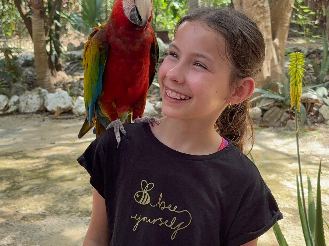 Akumal Natura Rescue-艾库玛尔必去景点