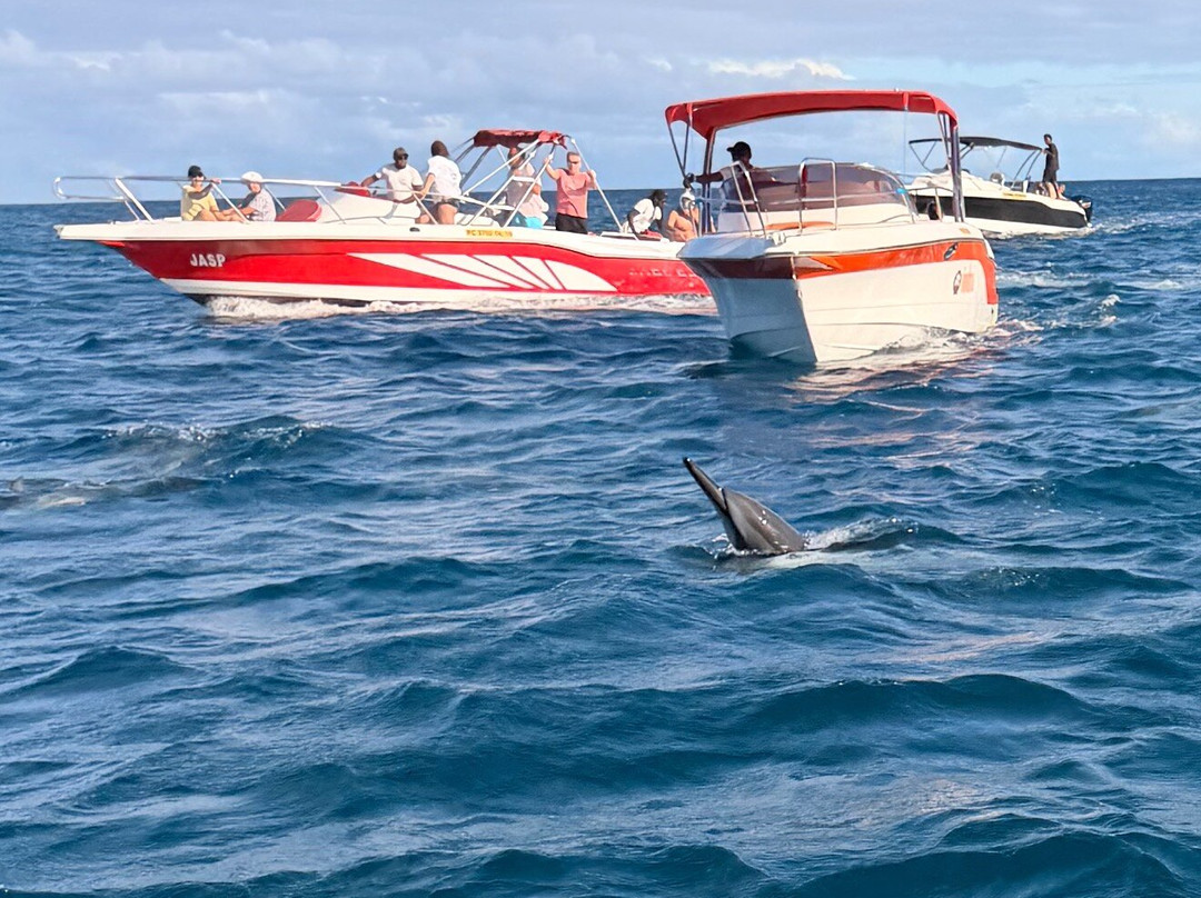 Dauphine Tours Mauritius-大湾必去景点