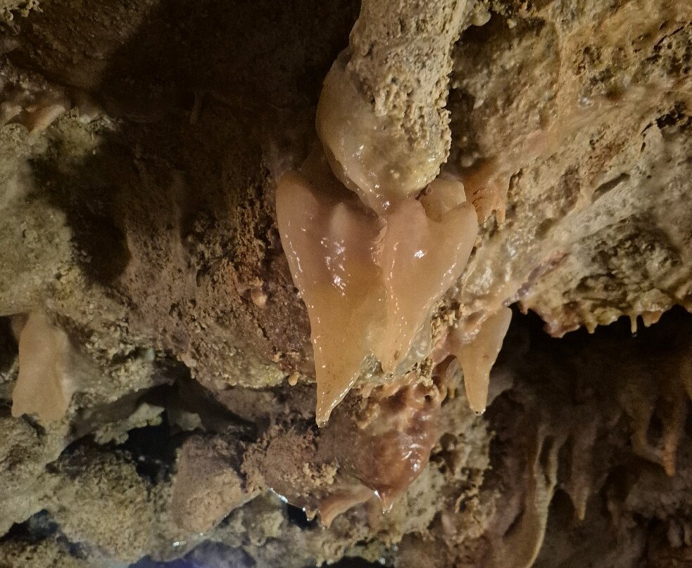 Xerri's Grotto-Xaghra必去景点