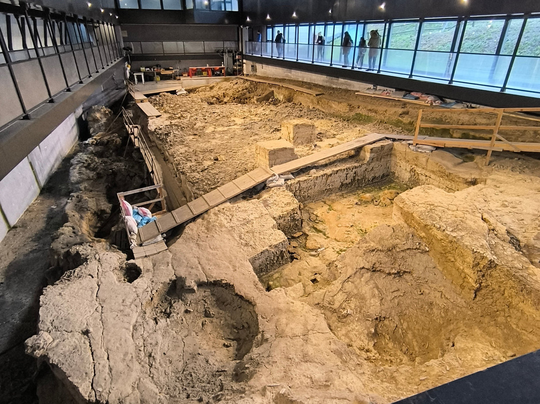 Museo Nazionale del Paleolitico-伊塞尔尼亚必去景点