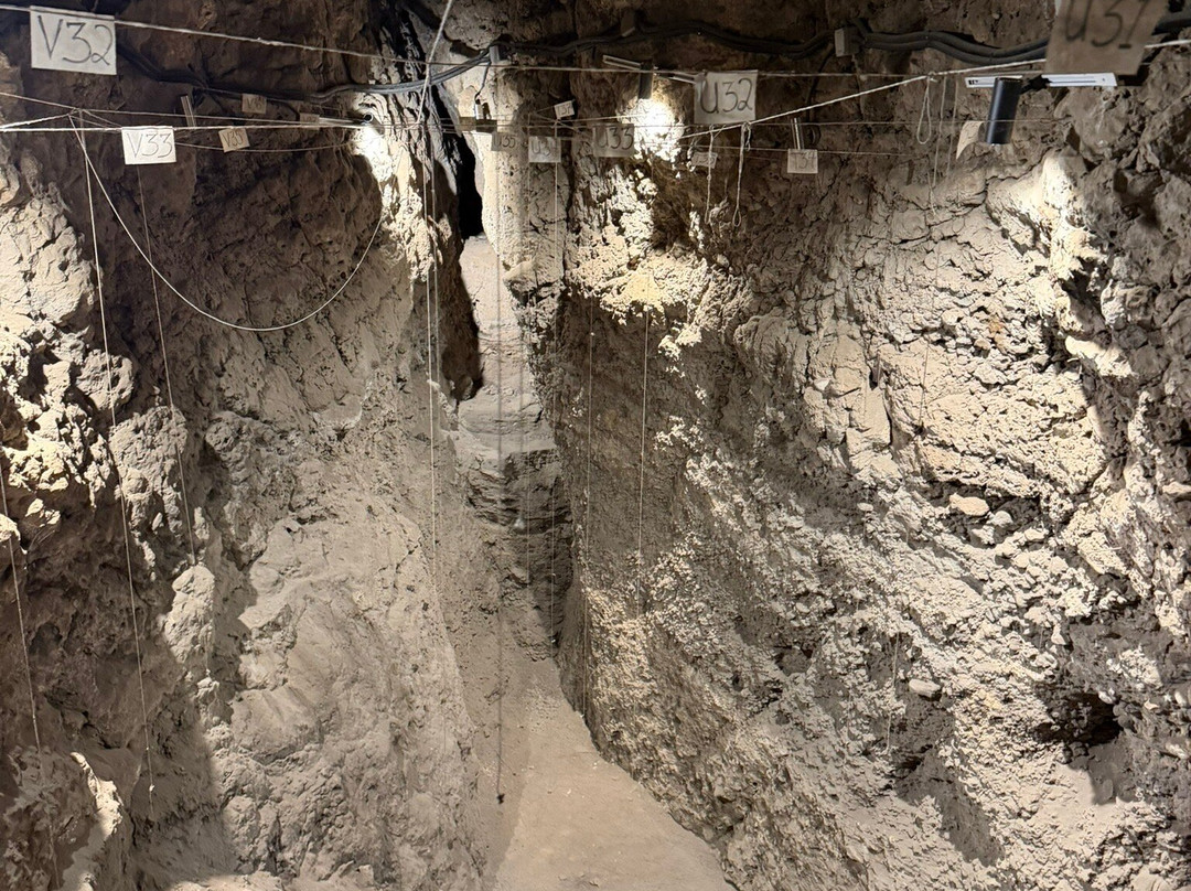 T'rchuneri (Bird) Cave-Areni必去景点